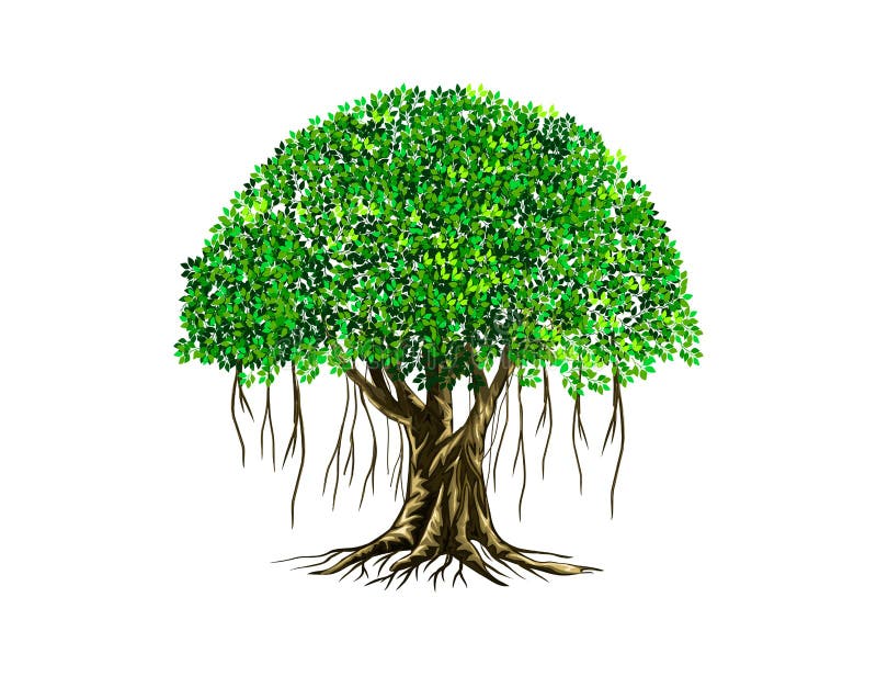 Banyan-Baum-Vektorgrafik mit Wurzeln lizenzfreie abbildung