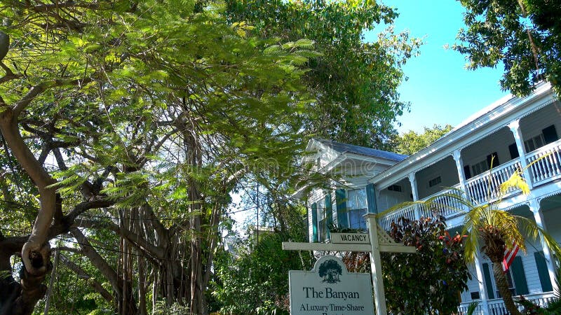 The Banyon House on Key West with Huge Banyan Trees KEY WEST USA The Banyon House on Key West with Huge Banyan Trees KEY WEST USA