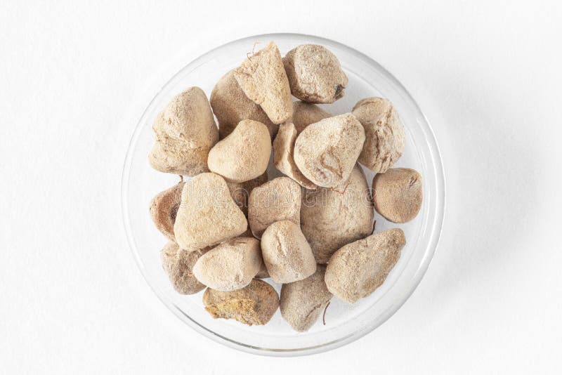 Use of baobab fruit stock photo. Image of health, nature 276697160