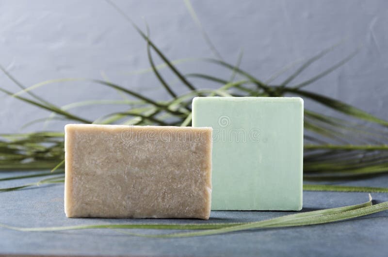 Bars of soap and plant on grey surface.Concept of bath products