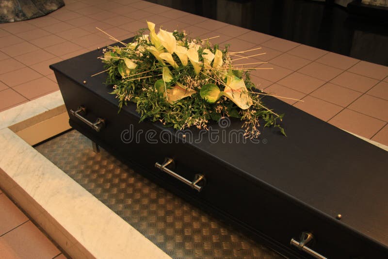 Bara Per Animali Piccoli In Legno Kaiserbaum - Misura M (35.3x18x10.3cm) Con Serratura Metallica | Per Porcellini D'India E Piccoli Animali - Foto 6