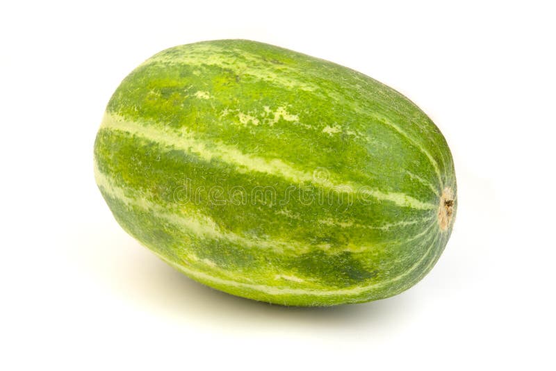 The barattiere is a landrace variety of muskmelon Cucumis melo found in Southern Italy. It is common in the Apulia region of Italy and in the region of Sahel in Tunisia