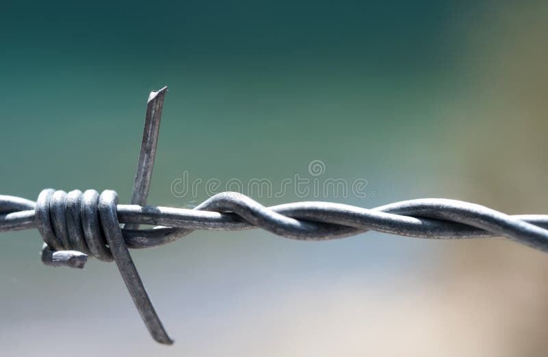 Barb sharp razor wire blurred background fence