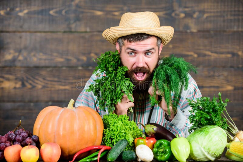 Barba sana enorme granjero maduro barbudo Festival de la cosecha cocinero del hombre con la cosecha rica del otoño Comida orgánic imagen de archivo Barba sana enorme granjero maduro barbudo Festival de la cosecha cocinero del hombre con la cosecha rica del otoño Comida orgánic imagen de archivo
