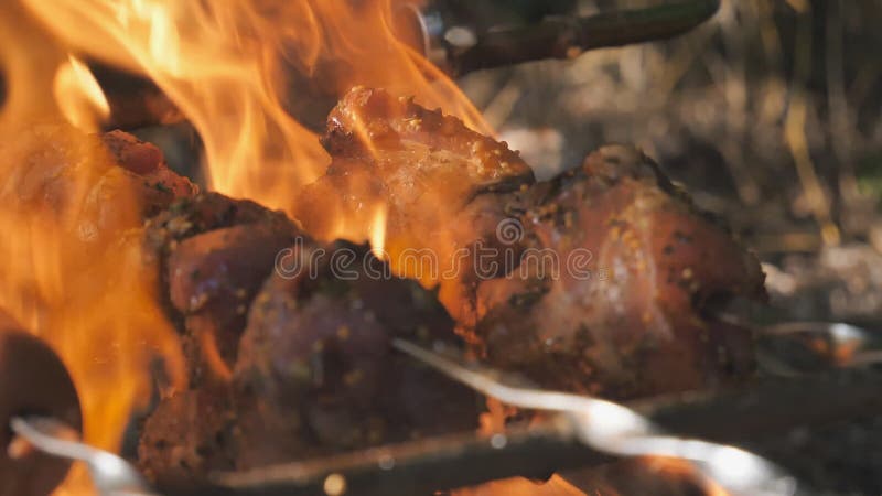 Carne Jugosa Cocida En Un Asador Eléctrico Romero De Pimienta Negra Carne a  La Parrilla Metrajes - Vídeo de carne, alimento: 275740160