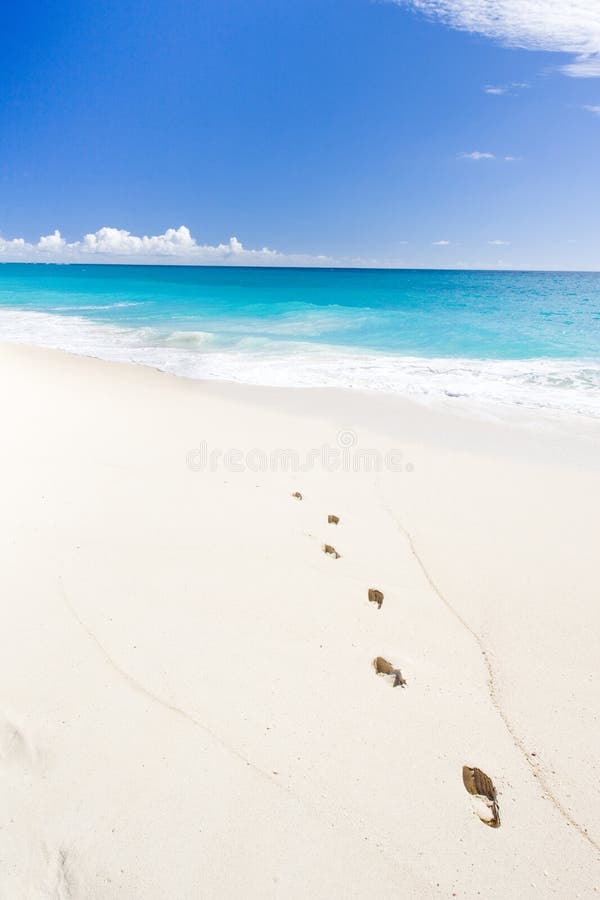 Barbados stock image. Image of coasts, beaches, island - 13820875
