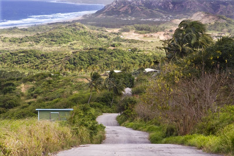 Barbados landscape