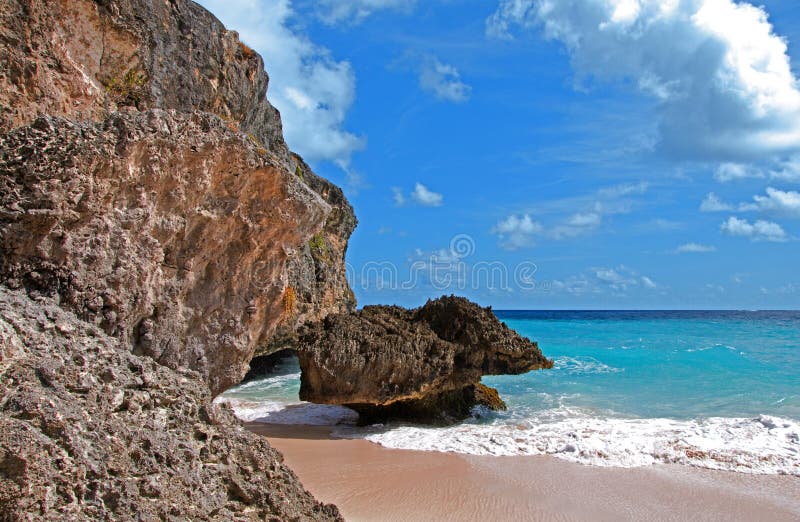 Barbados skäller strandunderkantkorall