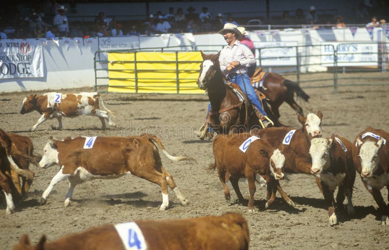 Barbara Old Spanish Days Fiesta rodeo & Stock Hors