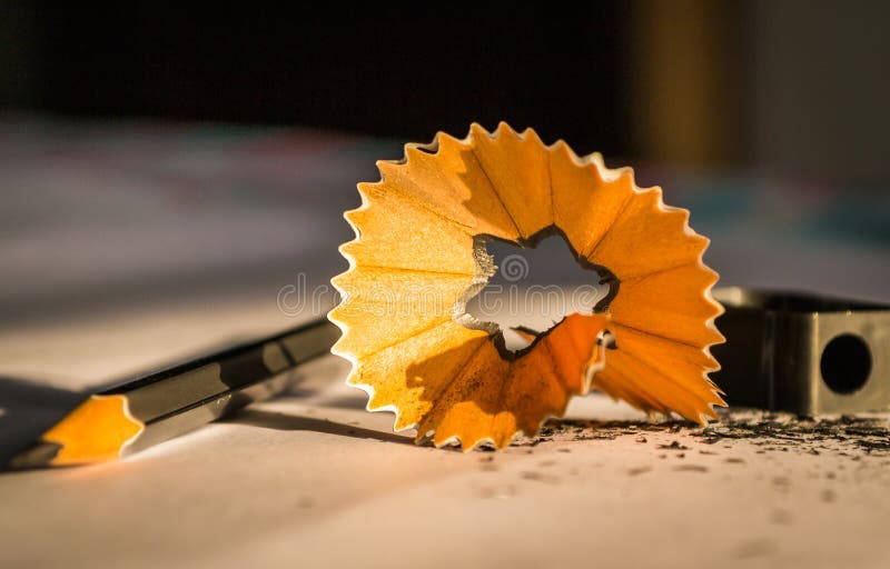 A pile of shavings from a sharpened pencil and sharpner. A pile of shavings from a sharpened pencil and sharpner