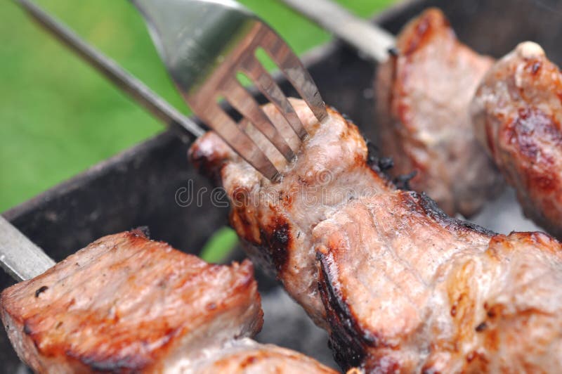 Barbecue Beef Meat Kebabs and Fork Stock Image Image of cooking