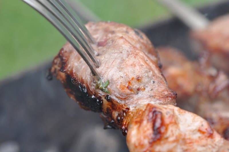 Barbecue Beef Meat Kebabs with Spice and Fork Stock Photo Image of