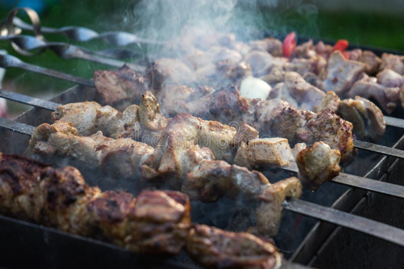 Barbecue on Coals Juicy Powerfully Stock Photo - Image of grill ...