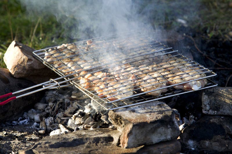 Barbecue del pollo fotografia stock libera da diritti
