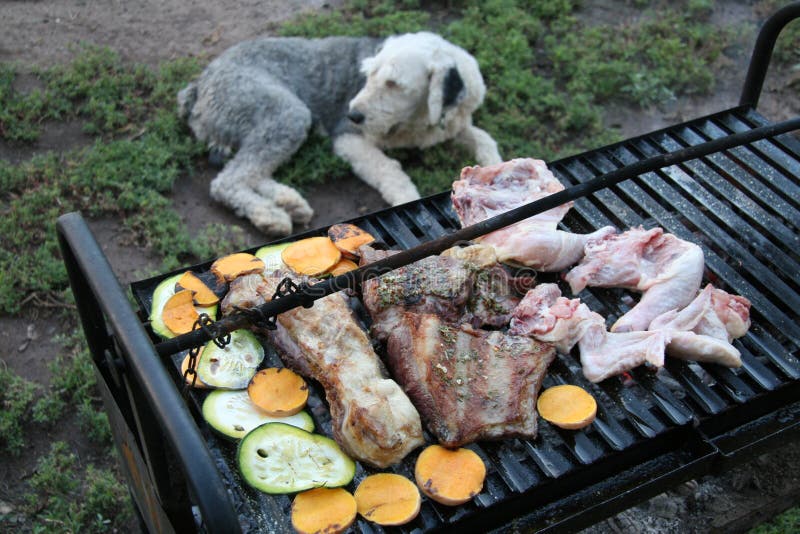 Barbecue and dog stock image. Image of chicken, steak 4452489