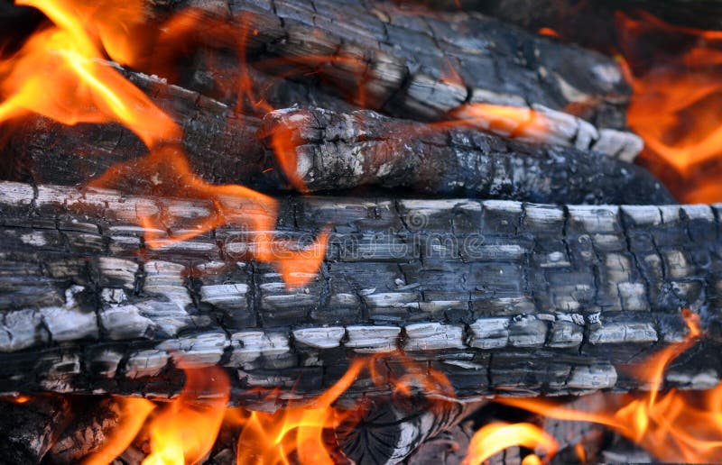 Barbecue Grill Flame Fire Charcoal Stock Photo Image of danger, flame