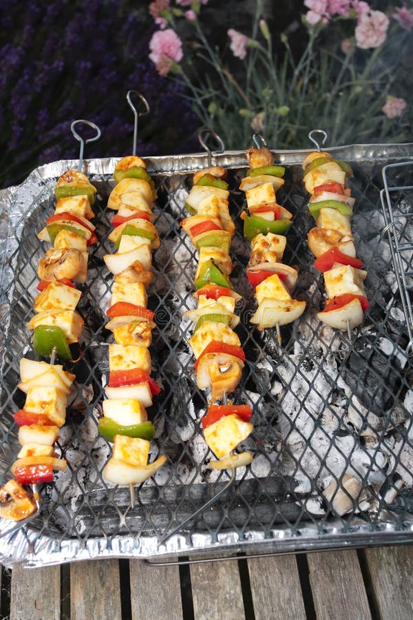 Barbecue grill and kebabs