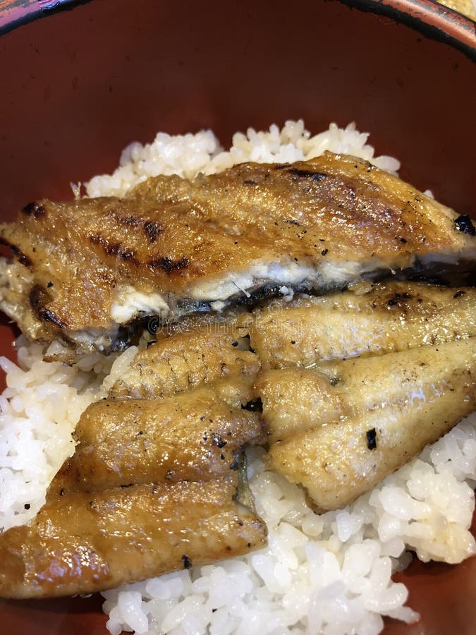 Japanese Eel rice stock image. Image of barbecue, delicious - 119117283