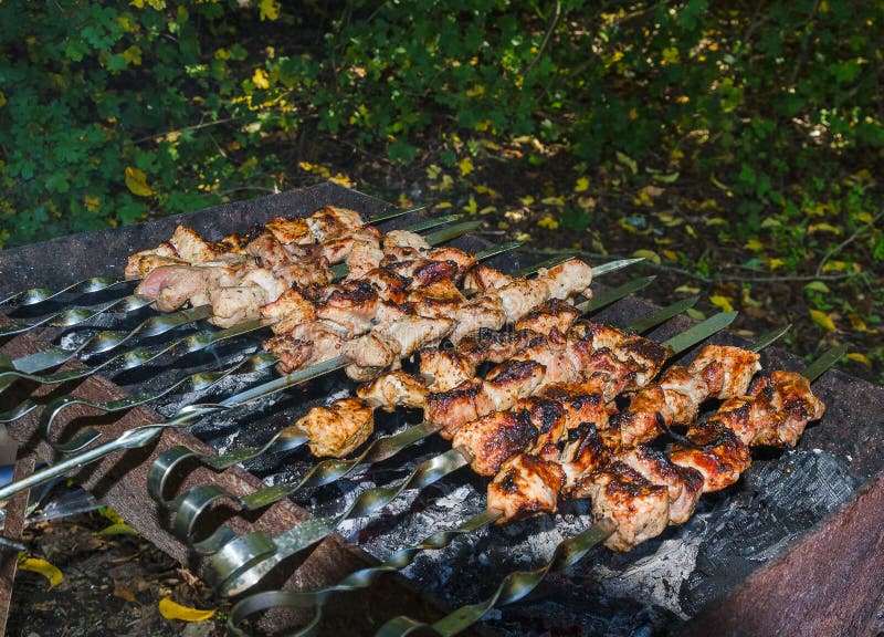 Barbecue on picnic stock photo. Image of grilled, roast 128256200