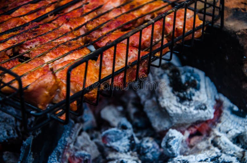 Barbecue is Prepared on the Grill. Smoke from the Fire Stock Image