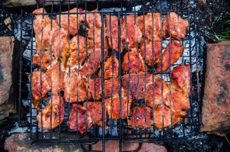 Barbecue is Prepared on the Grill. Smoke from the Fire Stock Photo