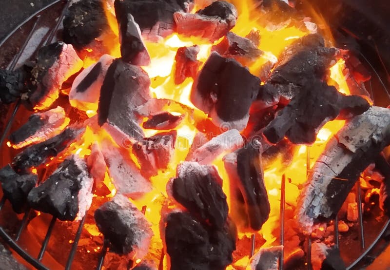 Barbecued Coal For Barbecue Stock Photo Image of barbecue, daric