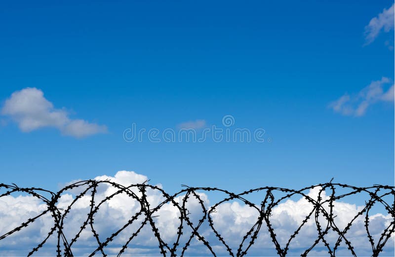Barbed wire stock photo. Image of crime, avert, camp 21587702