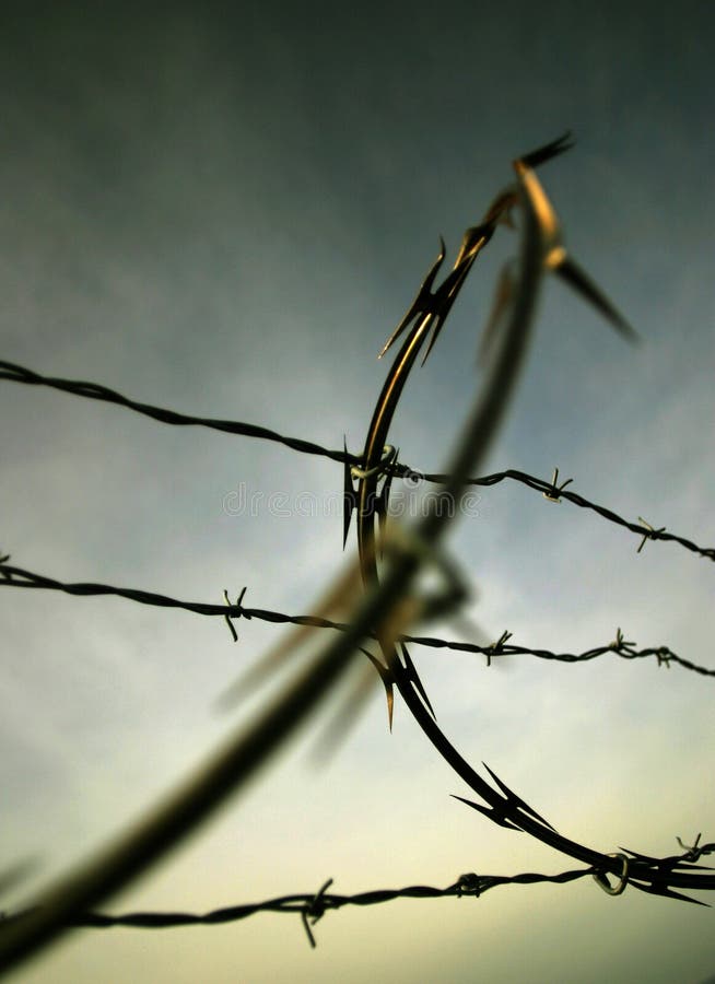 Barbed Wire stock image. Image of sharp, danger, hurt, yellow 218417