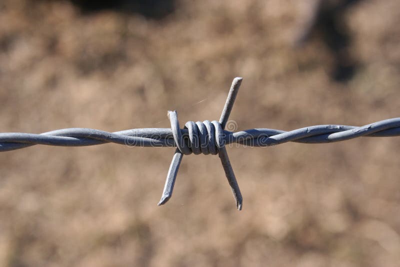 Barbed Wire stock photo. Image of macro, metal, wire 55145994