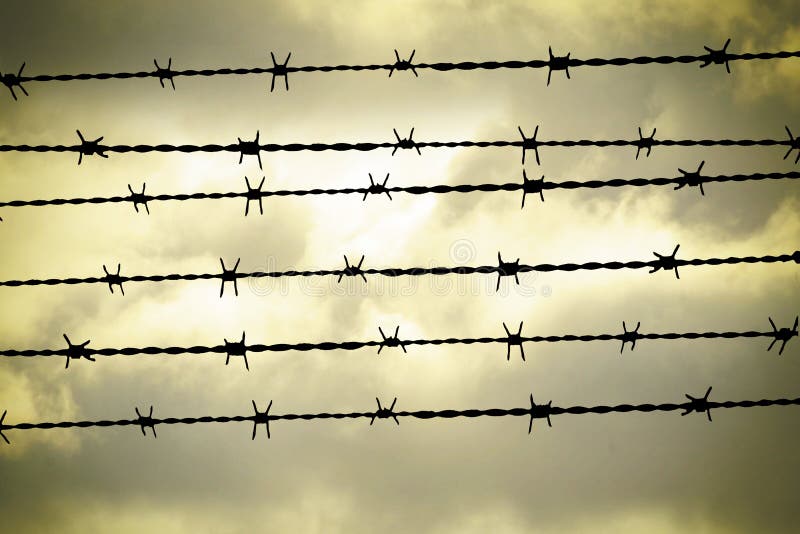 Barbed wire