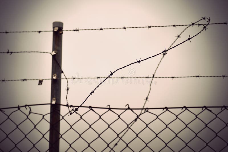 Barbed wire and chain link fence