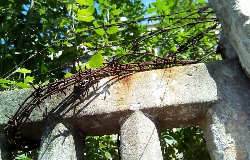 Barbed wire on a concrete fence against the background of green foliage and blue sky. stock photography Barbed wire on a concrete fence against the background of green foliage and blue sky. stock photography