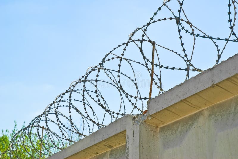 Barbed Wire on Concrete Fence Stock Image Image of barbed, wire 66587949