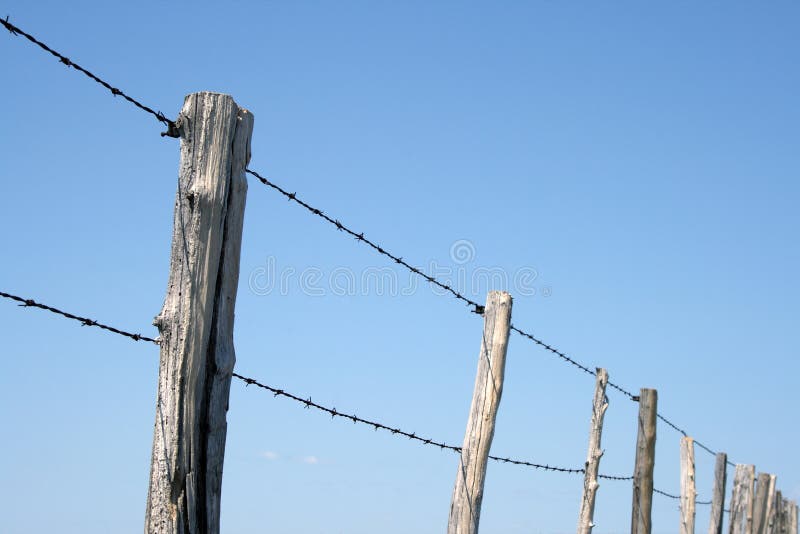 Barbed wire farm fence