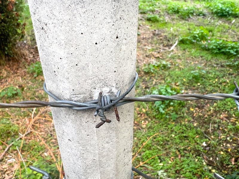 Barbed wire fastened to concrete post in green field setting stock photography
