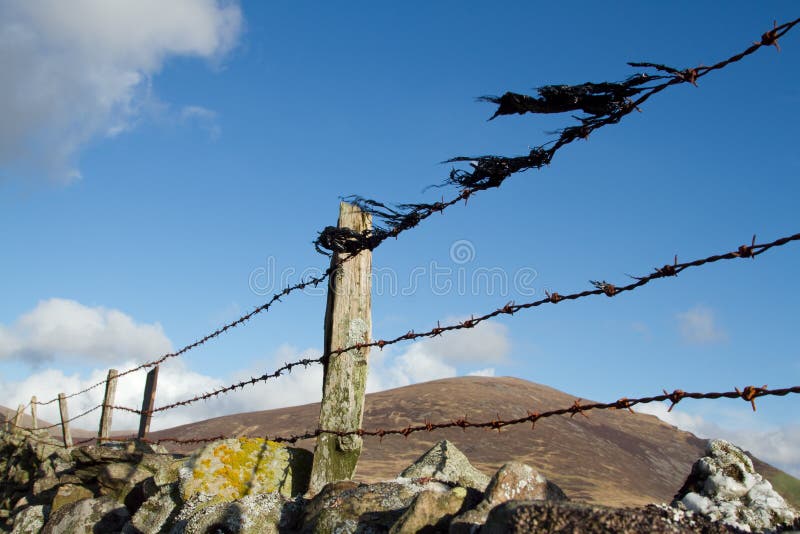 Barbed wire fence.