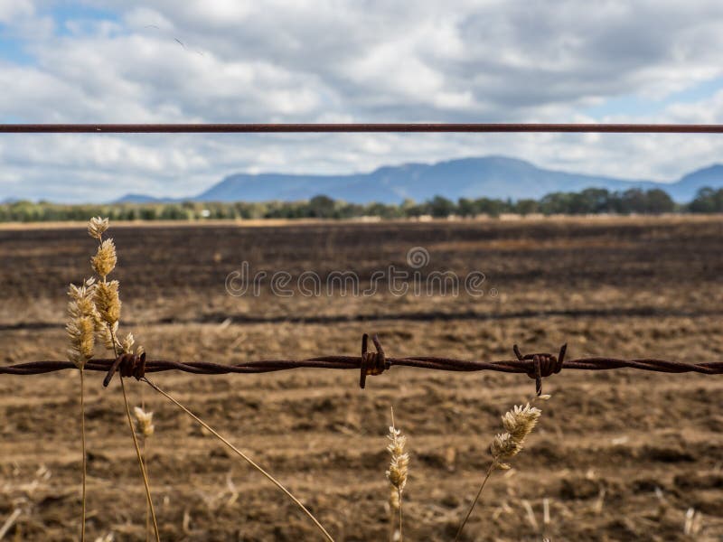 Barbed wire fence in front of a burnt out field royalty free stock images Barbed wire fence in front of a burnt out field royalty free stock images