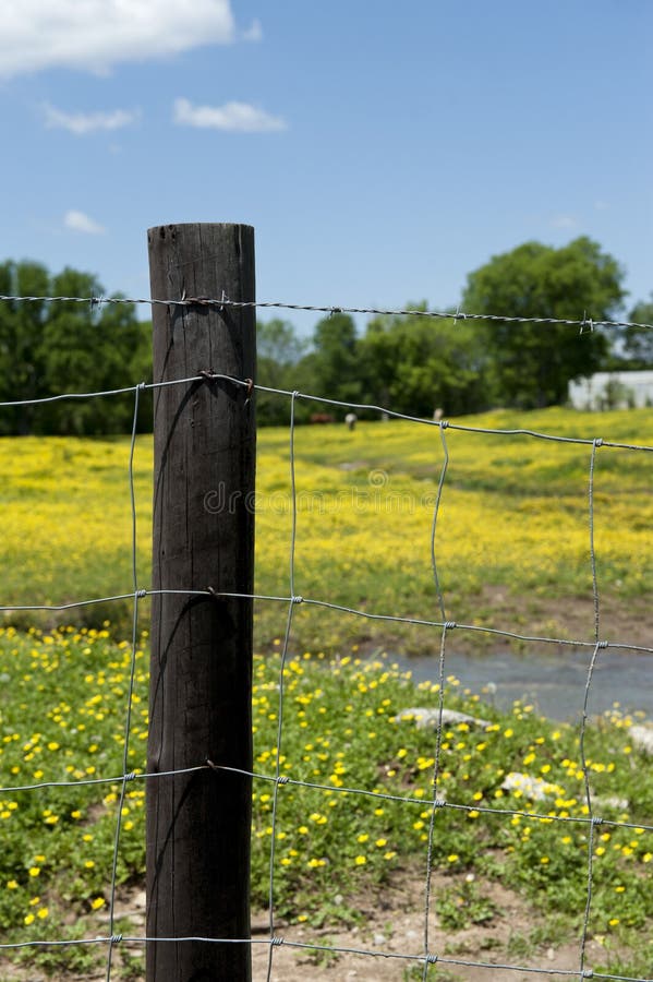 Barbed Wire Fence And Post