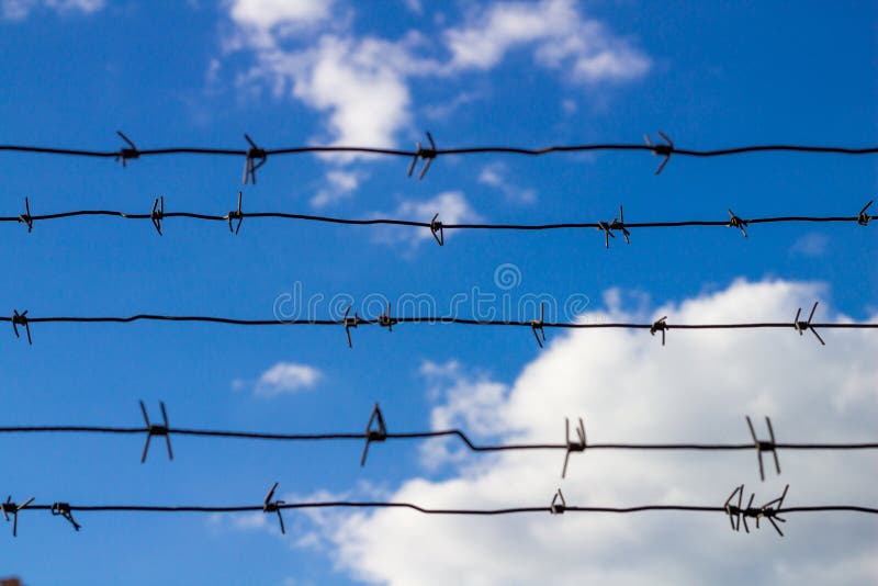 Barbed wire of prison wall closes blue sky, escape concept