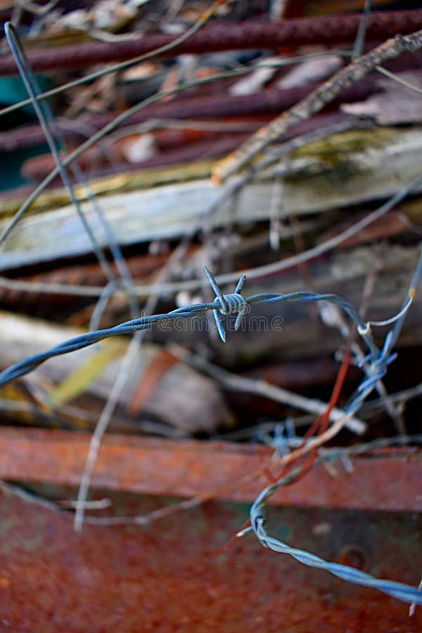Barbed Wire in a Trailer stock photo. Image of nature 118386218