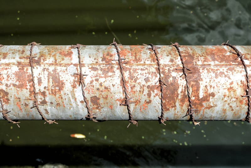 Barbed Wire on Water Pipe. stock photo. Image of plate 115202352