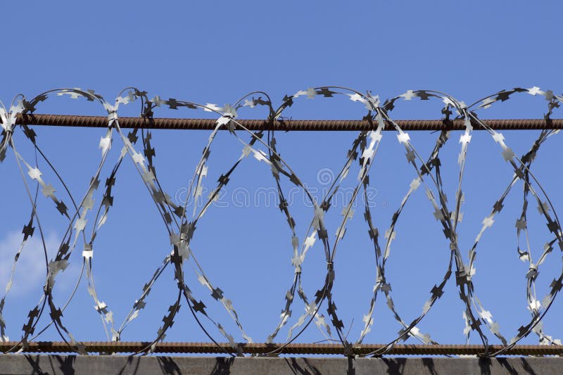 Barbed Wire Wound To the Top of a Fence Stock Image Image of palisade