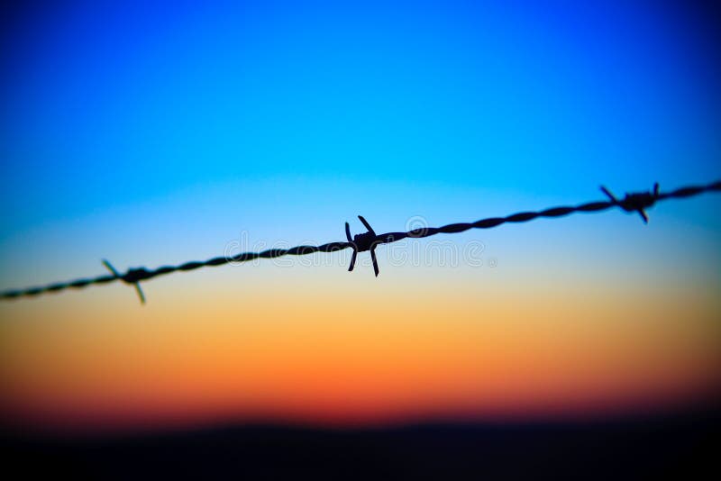 Close-up of barbed wire dripping on sunset sky. Close-up of barbed wire dripping on sunset sky
