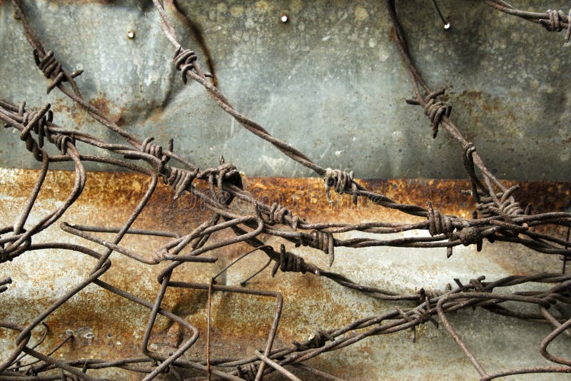 Barbed wire on rusty metal wall in the philippines. Barbed wire on rusty metal wall in the philippines