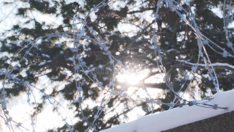 Barbelés sur le sommet de la clôture neigeuse contre les branches d'arbres banque de vidéos
