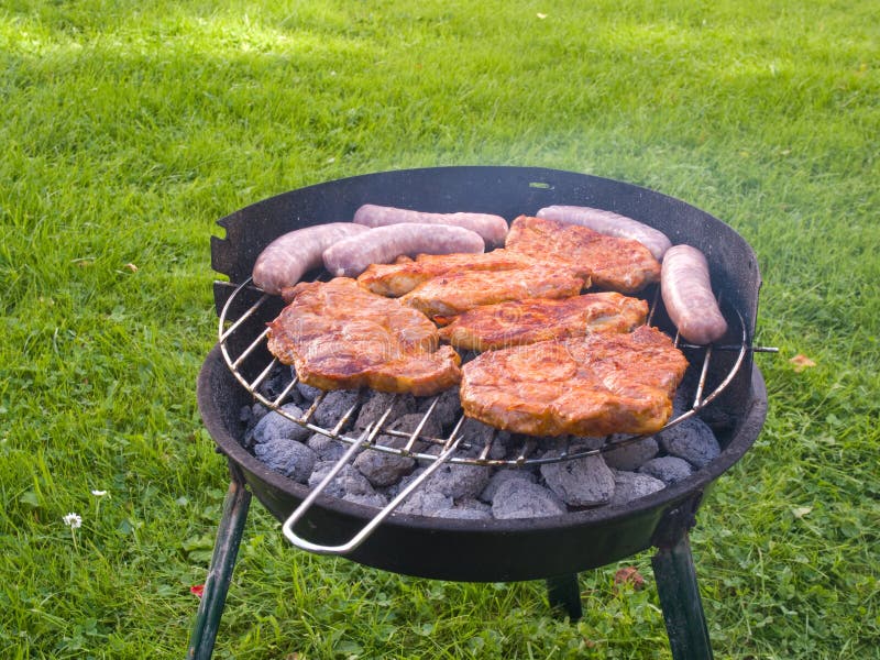 Barbeque stock photo. Image of chicken, girl, summertime 6372108