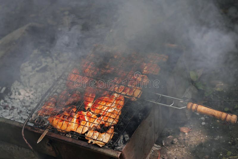 Barbeque fried on the bonfire and coals stock images Barbeque fried on the bonfire and coals stock images