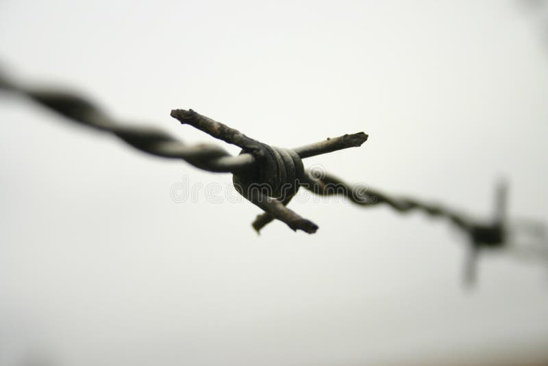 Barbwire on grey background