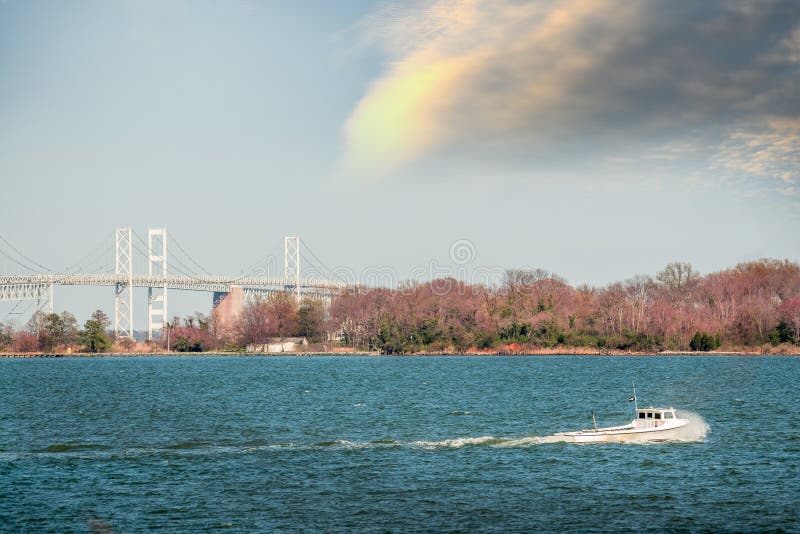 Barca del Waterman di Maryland sulla baia di Chesapeake vicino al ponte della baia fotografie stock Barca del Waterman di Maryland sulla baia di Chesapeake vicino al ponte della baia fotografie stock