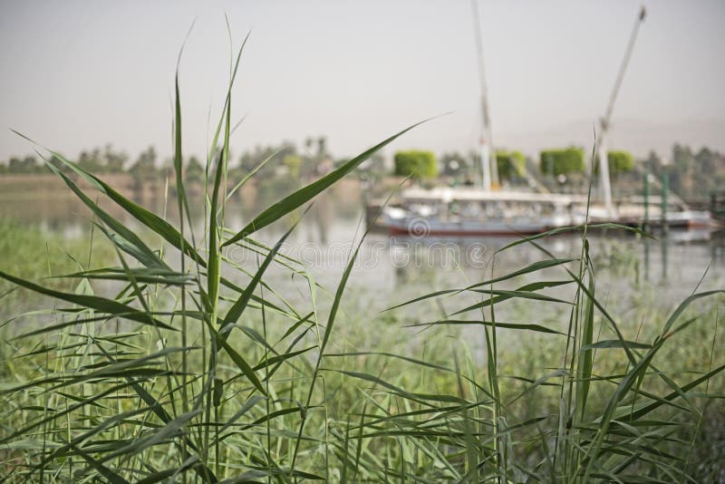 Barca egiziana tradizionale di felluca sul fiume Nilo fotografia stock Barca egiziana tradizionale di felluca sul fiume Nilo fotografia stock